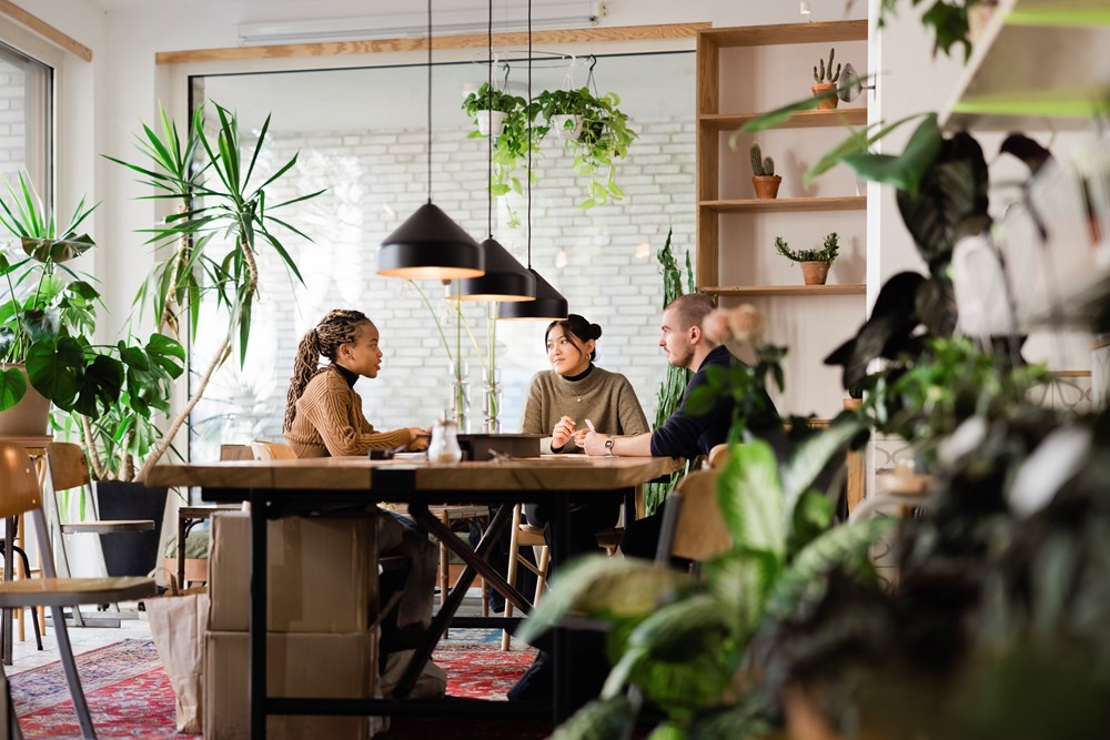 Tre personer sitter rundt et møtebord, i et hyggelig rom med vinduslys og grønne planter
