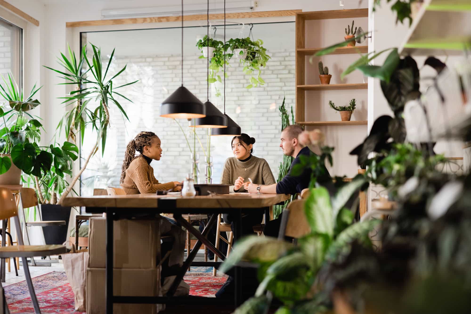 Tre personer som sitter rundt et bord i en intervhusetting, i et lyst rom med grønne planter.